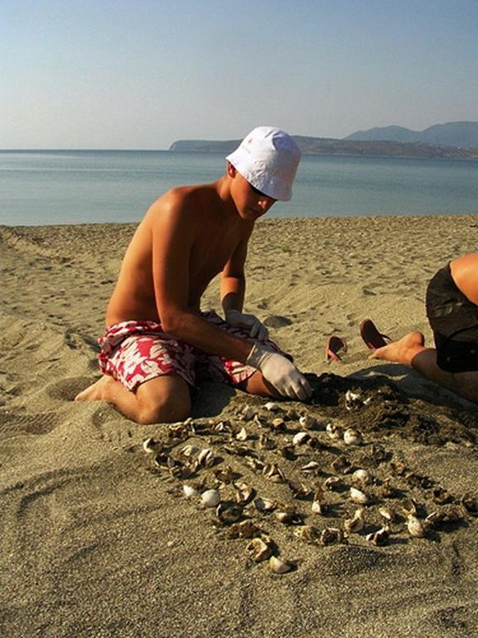  Kornjače CarettaCaretta 